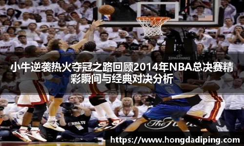 小牛逆袭热火夺冠之路回顾2014年NBA总决赛精彩瞬间与经典对决分析